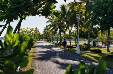 Tahiti jardins de Paofai promenade        - Tahiti Tourisme