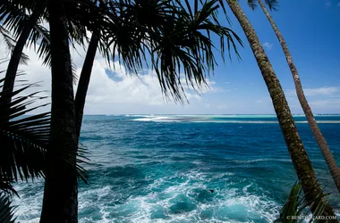 Vanira Tours - Tahiti Tourisme
