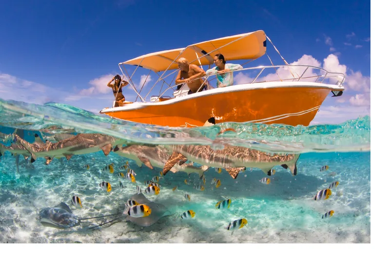La Plage Bora Bora (Tours Privés) - Tahiti Tourisme