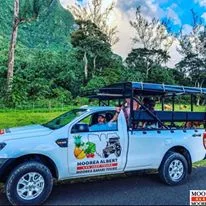 Albert Tours : Excursion Safari 4x4 - Tahiti Tourisme