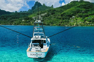 Seawolf Expeditions - Tahiti Tourisme