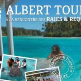 Albert Tours : Excursion Moana Lagoon & Motu Picnic