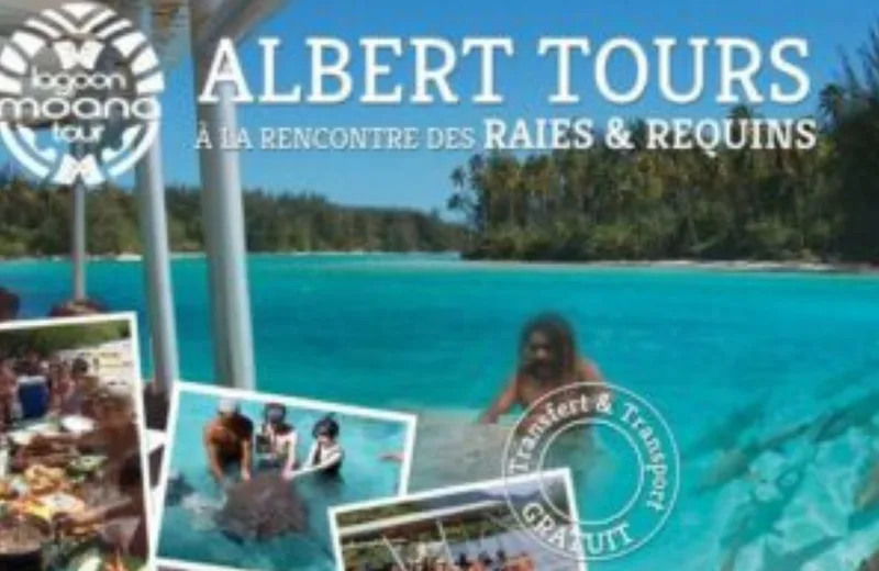 Albert Tours : Excursion Moana Lagoon & Motu Picnic - Tahiti Tourisme