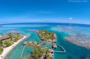 Moorea Dolphin Center - Tahiti Tourisme