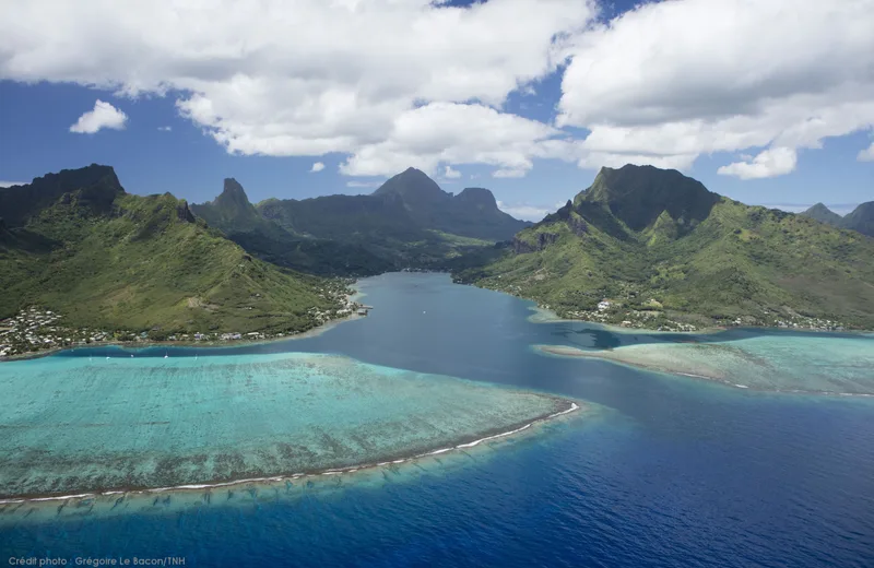 Baie d'Opunohu - Tahiti Tourisme