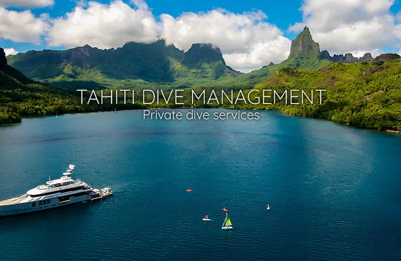 Tahiti Dive Management - Tahiti Tourisme