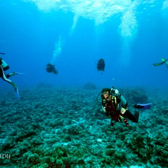 Tahaa Diving