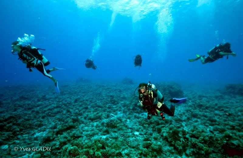 Tahaa Diving - Tahiti Tourisme