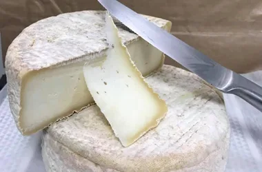 Les fromages de chèvre du Bois la Gane
