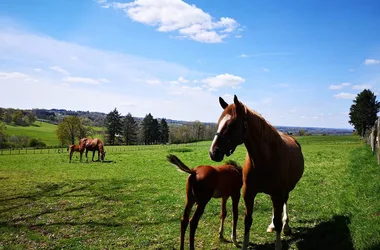 Visite du Domaine de Chignac