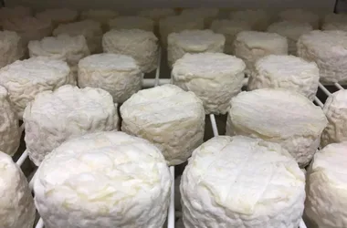 Les fromages de chèvre du Bois la Gane