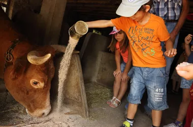 Ferme de Champtiaux