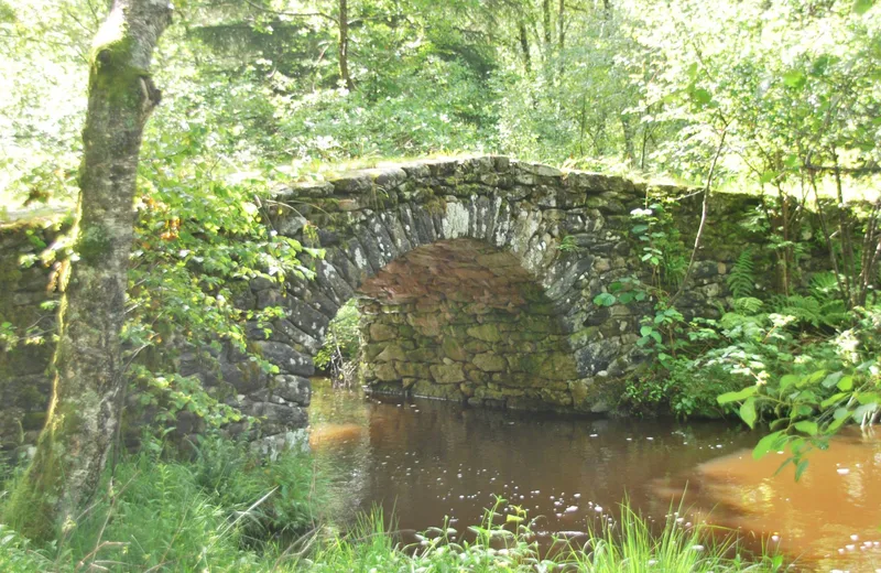 Le pont de Varieras