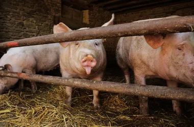 Ferme de Champtiaux