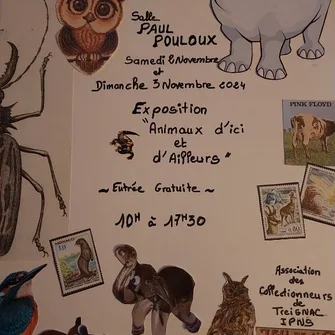 Exposition Animaux d’ici et d’ailleurs