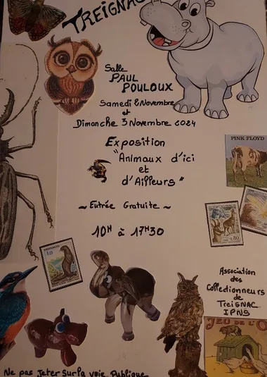 Exposition Animaux d’ici et d’ailleurs