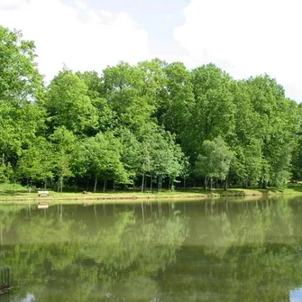 Forêt domaniale de Pompadour