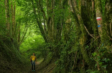 GR®46 – Etape 6 : de Vigeois à Estivaux