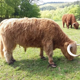 Ferme des Borderies