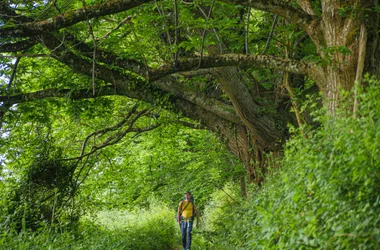 GR®46 – Etape 6 : de Vigeois à Estivaux