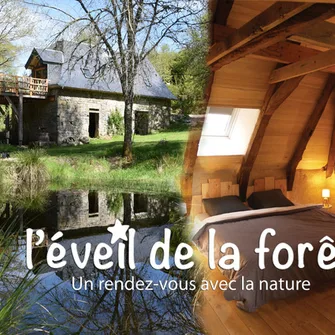 L’éveil de la Forêt