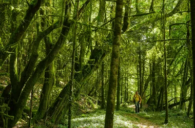 GR®46 – Etape 5 : d’Uzerche à Vigeois