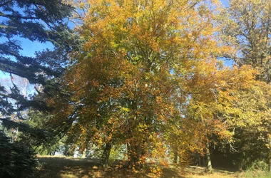 CH les hautes Herbe -parc - Bonnefond © Gilles Paillet réduite