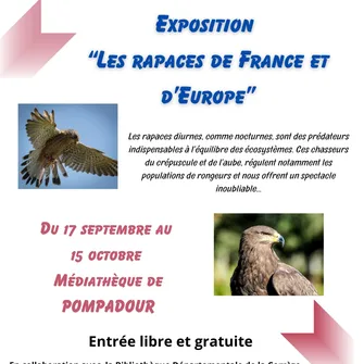 Exposition : “Les rapaces de France et d’Europe”