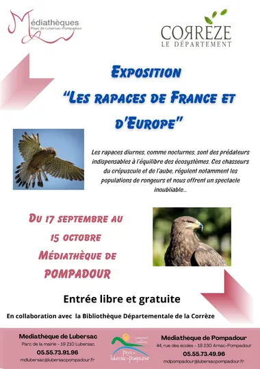 Exposition : “Les rapaces de France et d’Europe”