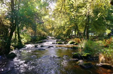 Les Truites de la Vézère