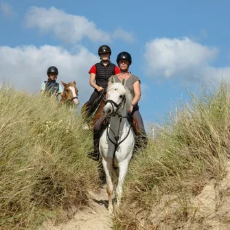 BALADE A CHEVAL DANS LES DUNES – MOYENS