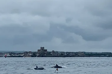 Barfleur en Mer – Bateau Promenade