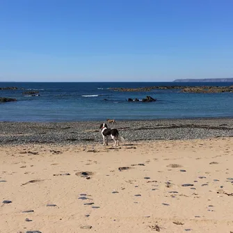 Plage du Platé