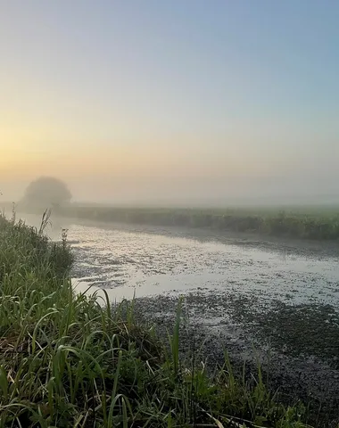 À la découverte des oiseaux du marais et de la réserve  naturelle régionale des marais de la Taute