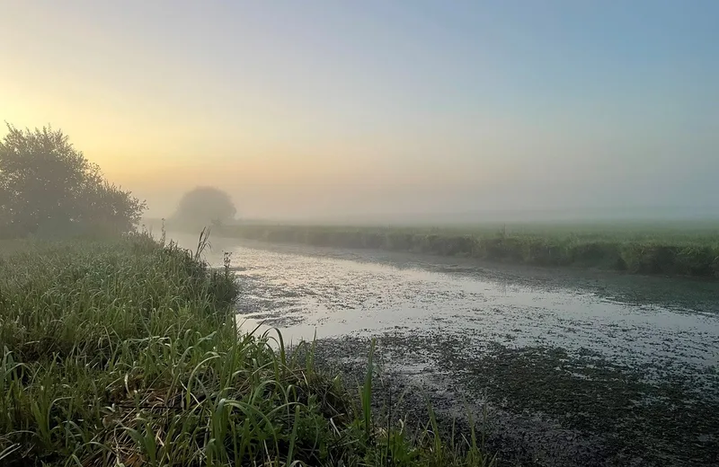 À la découverte des oiseaux du marais et de la réserve  naturelle régionale des marais de la Taute