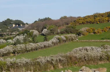 Gîtes de France G677 > Le Moulin Cardin