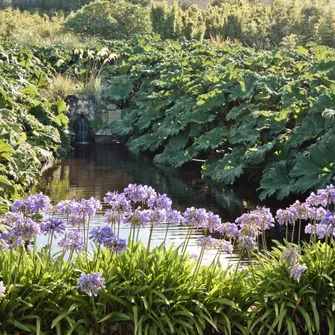 Jardin botanique de Vauville