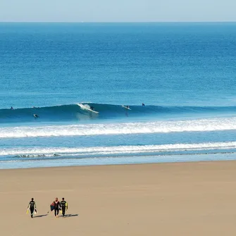 Entre landes et dunes