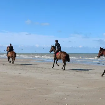 Balade à cheval sur la plage soirée /coucher de soleil (1h30) – niveau CONFIRME