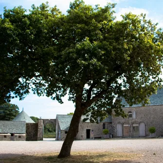 Visite commentée « botanique » – Manoir du Tourp