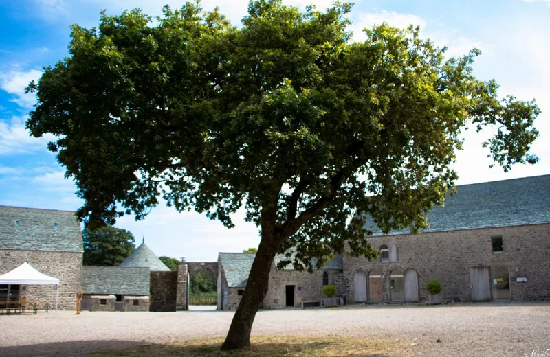 Visite commentée « botanique » – Manoir du Tourp