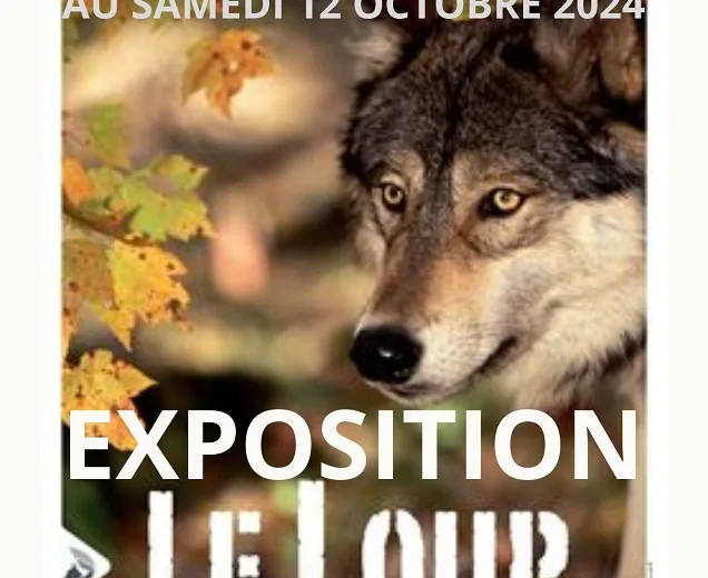 Exposition “Le Loup”