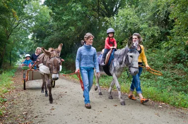 Randonnée avec des ânes > Autour de l’Âne