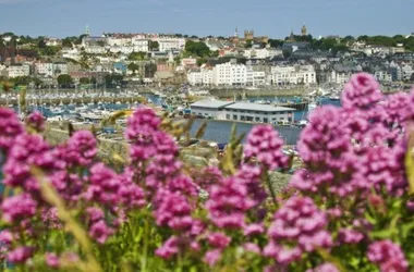 Condor Ferries