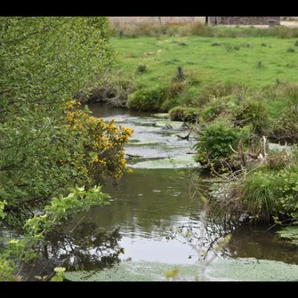 Le Vieux Moulin de Tamerville