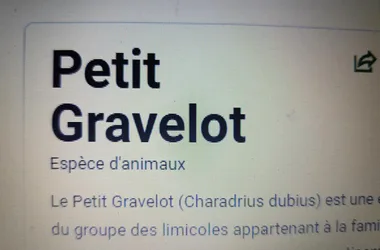 Meublé de tourisme > Les Gravelots