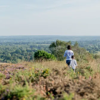 De la forêt de Saint-Sauveur au Mont de Besneville