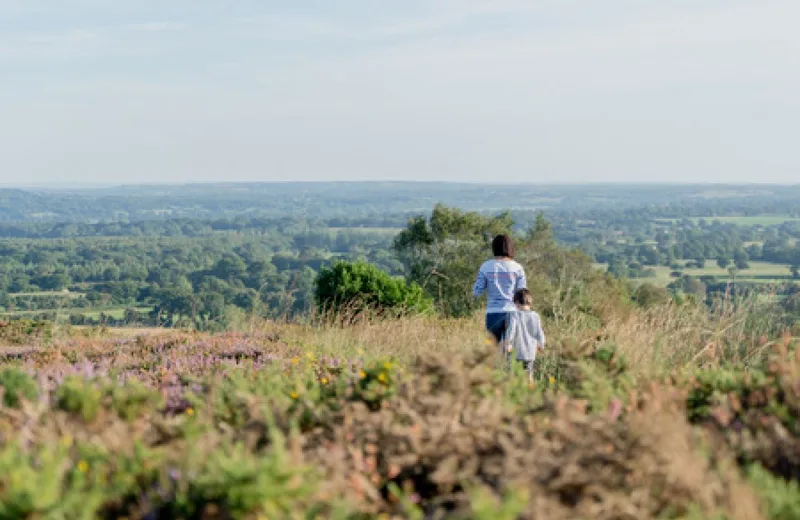 De la forêt de Saint-Sauveur au Mont de Besneville