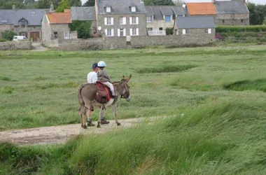 Randonnée avec des ânes > Autour de l’Âne