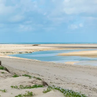 Visite guidée : balade dans le Havre